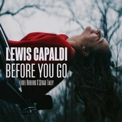 BEFORE YOU GO - [ FIDEL RIBEIRO X SEVAD TALLY ]