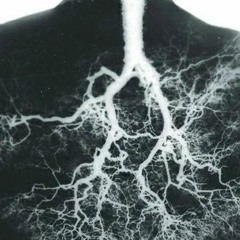 hasta el agua esté clara