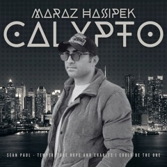 Sean Paul - Temperature Rops and Charles I Could Be The One (CALYPTO Edit)