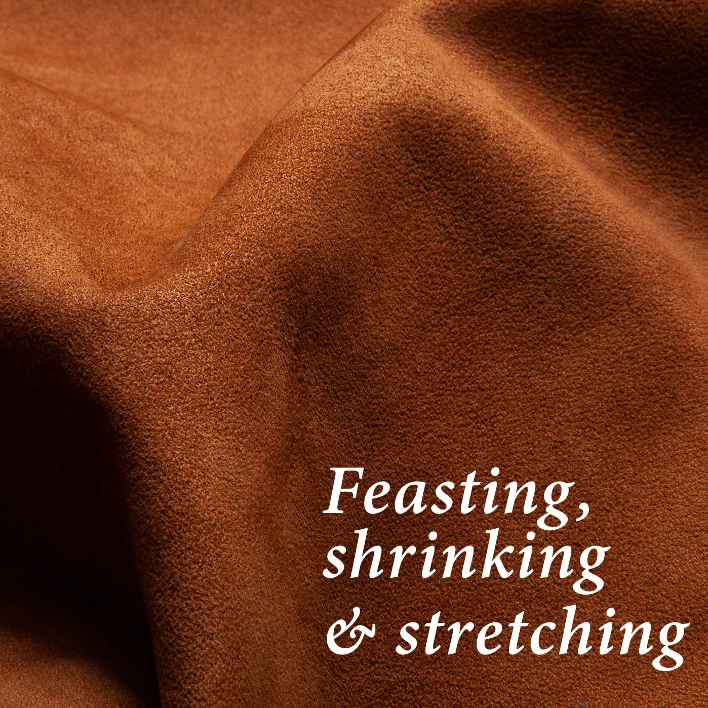 Feasting, shrinking & stretching episode artwork