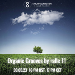 Organic Grooves by Ralle 11, 30.05.23