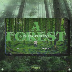 in da forest - a forest
