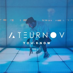 Zeds Dead & Oliver Heldens - You Know | Feat. Tove Lo (Ateurnov Remix)