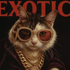 EXOTIC (PROD.GXM)