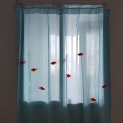 Audio [2025-06-15 132925]