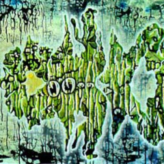 Wasserspiegelung2