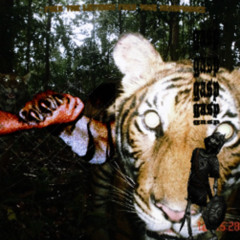 2fly2fly -  94t + cat fight + minok0 (lyn + crusey)
