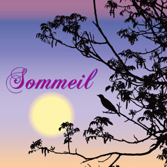 Sommeil