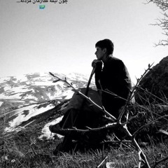 To guli kurdistani تۆ گوڵی کوردستانی