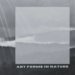Art Forms In Nature II