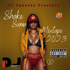 Shake Sumn Mixtape 2023