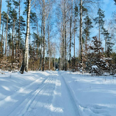 2025-11-30  November Magic Session