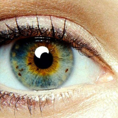 ederlezi_sneak_preview