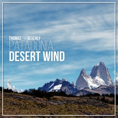 AMB80 Patagonia: Desert Wind