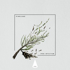 Premiere: Pineland - Lartists [Archipel]