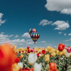 Практика Хоопонопоно