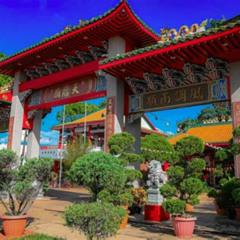 Best Things To Do In Chinatown Houston Tours Reviews