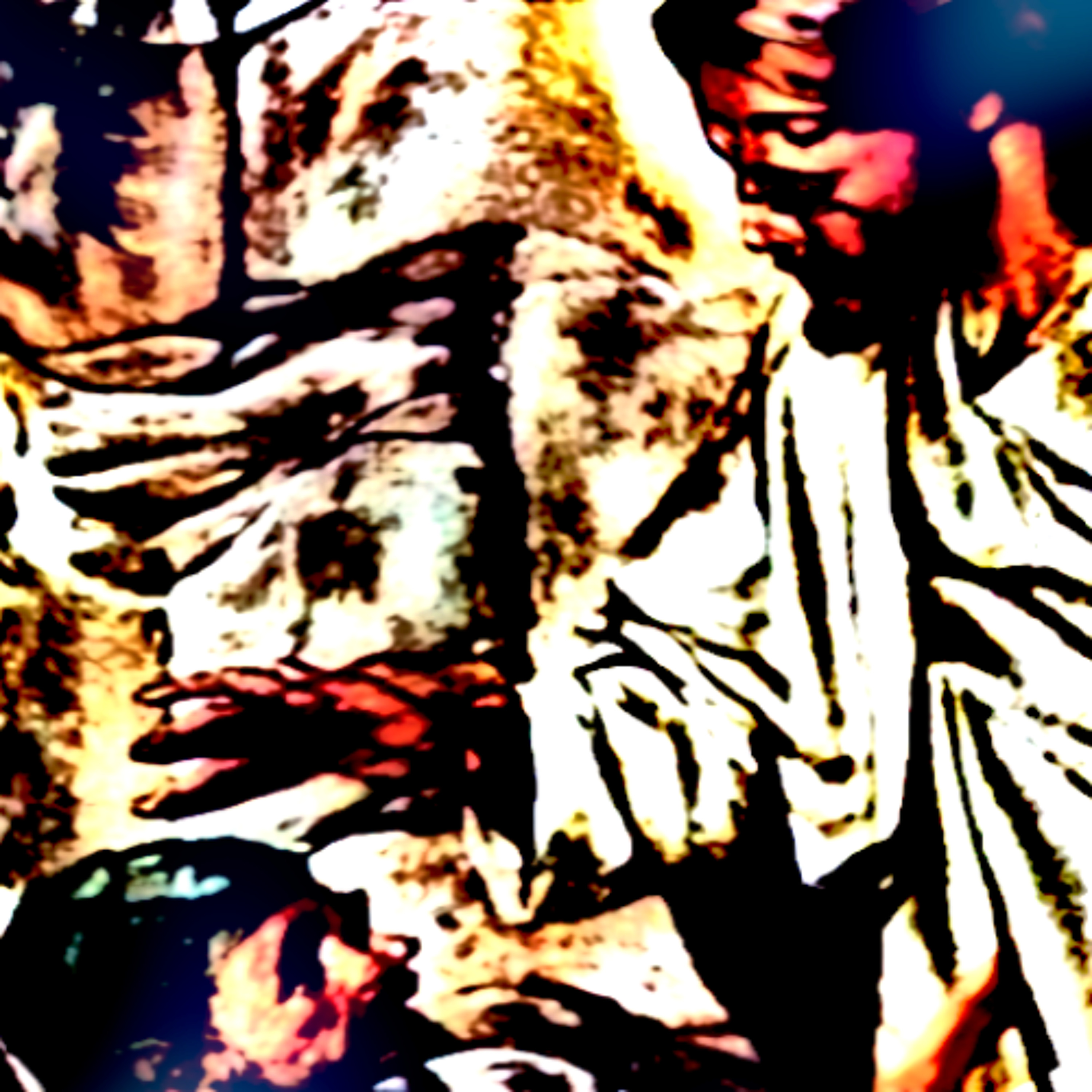 Tesicular Fuzz Jam episode artwork