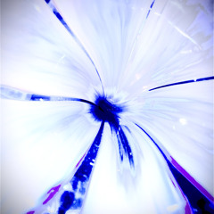 stillheresadlyloop..