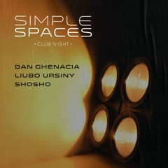 Liubo Ursiny • Simple Spaces • 130925