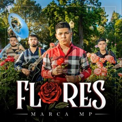 Flores - MARCA MP