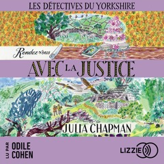 Les détectives du Yorkshire - T9 : Rendez-vous avec la justice de Julia Chapman lu par Odile Cohen