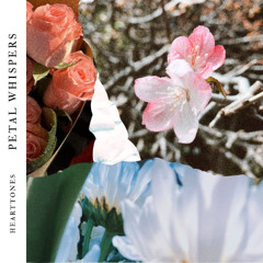Petal Whispers