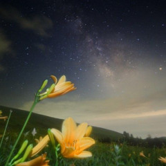 snow  (Prod. javguru, bhnst)