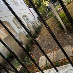 Tali So Sexadlibs‎ 🩸🩹 @sorceryyyyyyyy