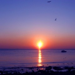 Journal Entry #1 (prod. JHershey)