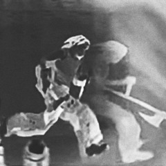 FATALFATALFATAL - PARANOIA