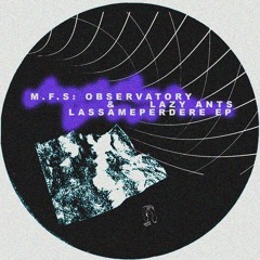 M.F.S Observatory, Lazy Ants - Lassameperdere [Kneaded Pains]