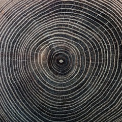 Ode To My Frida [Vince Watson Piano Reshape) (Preview)