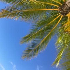 Summer Vibes: Example