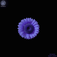 Micaele - Sunflower (Extended Mix)