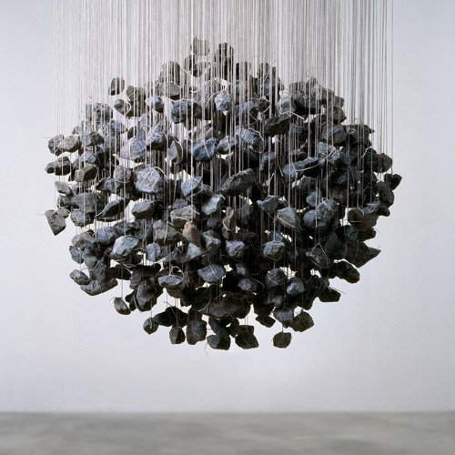 Springvossen 567 Rein Kooyman