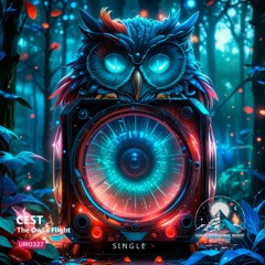 Cest - The Owl's Flight (Original Mix)