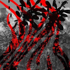 Eso fue lo que sucedió.