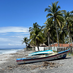 Fruta Fresca - Platon!k Remix