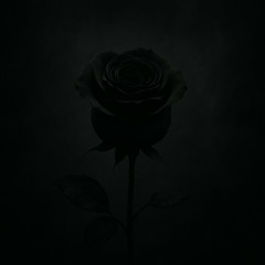Black Roses