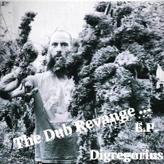01- Dub Master rework El Nagual !