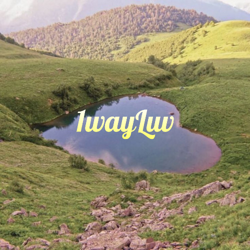 1wayLuv (Sped up) (Prod.Sculpture. Selected)