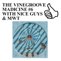 THE VINEGROOVE MADICINE #6 WITH NICE GUYS & MWT