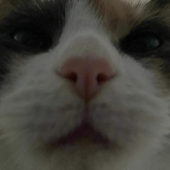 nobody gets me - sza (chorus)