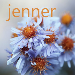 Jenner