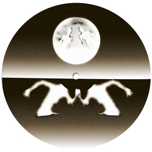 Torn Hawk "Flip To Raw" FRS031