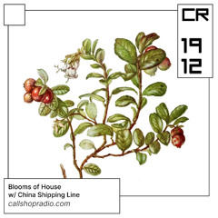 Blooms of House w/ China Shipping Line 19.12.24
