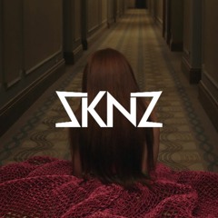 Bárbara Tinoco - Chamada Não Atendida (SKNZ Remix)