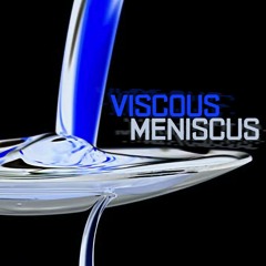 Viscous Meniscus (DnB)