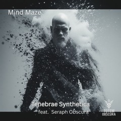Mind Maze (feat. Seraph Obscura)
